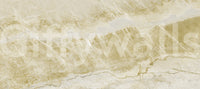 Golden Sand Marble Texture Wall Mural