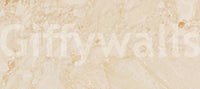 Cream Stone Texture Surface Wall Mural