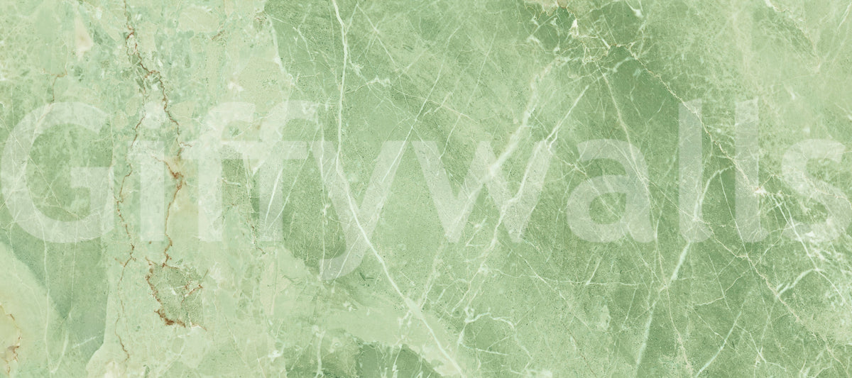 Sage Green Veined Marble Stone Wall Mural