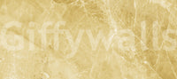 Golden Sand Marble Vein Wall Mural