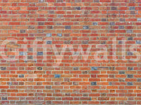 Aged Masonry Heritage Texture Wall Mural