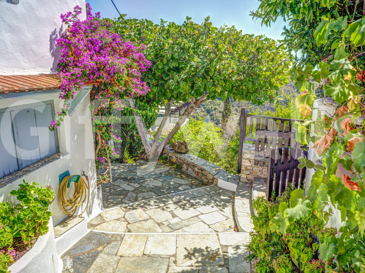 Sun-Drenched Coastal Terrace Wall Mural
