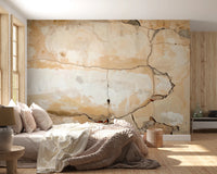 Weathered Walls Wall Mural