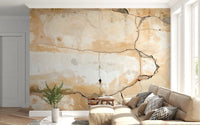 Weathered Walls Wall Mural