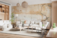Weathered Walls Wall Mural