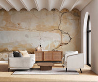 Weathered Walls Wall Mural