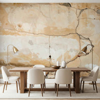 Weathered Walls Wall Mural