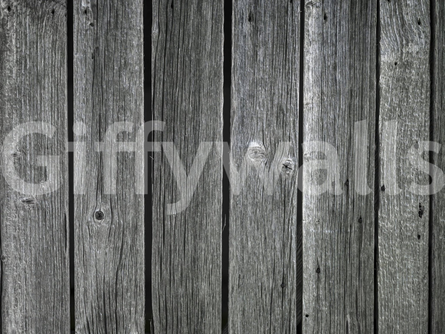 Monochrome wood panel mural, natural gray tones, detailed timber wallpaper.