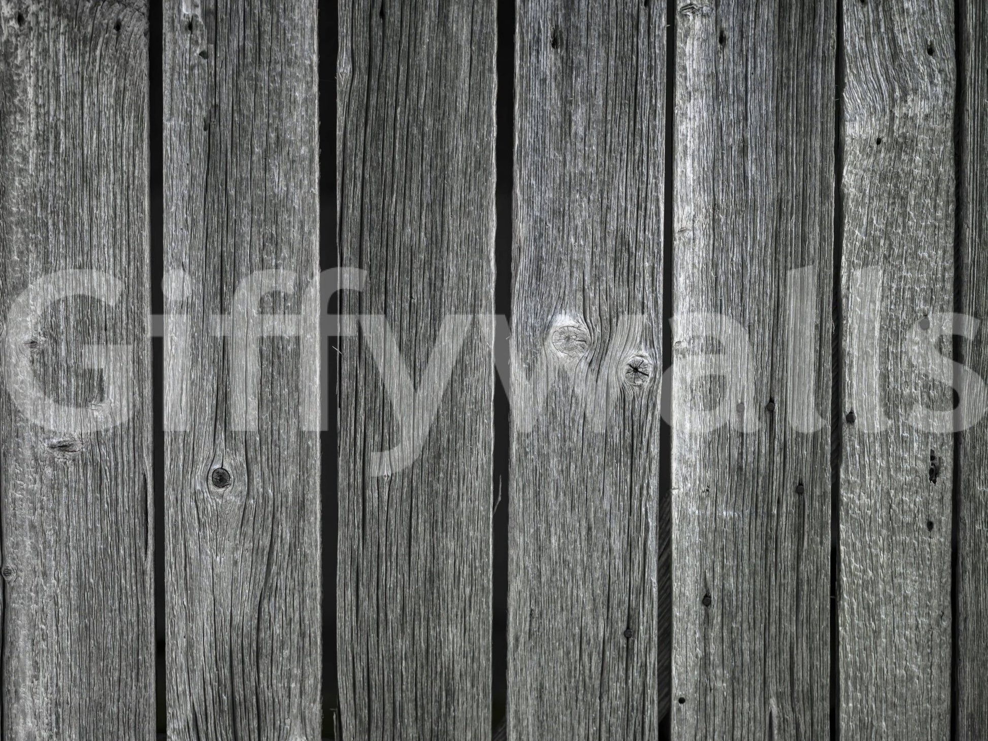 Monochrome wood panel mural, natural gray tones, detailed timber wallpaper.