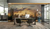 Royal and Regal luxurious mural wallpaper

