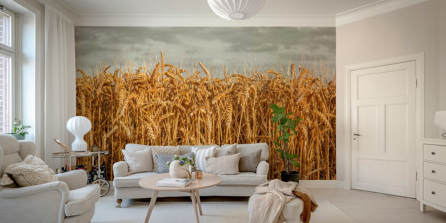 Harvest season wallpaper for walls

