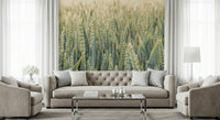 Soft, dreamy wheat stalks forming a calming countryside wallpaper design.