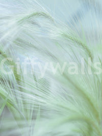 The wallpaper has a smooth, non-reflective matte finish.

