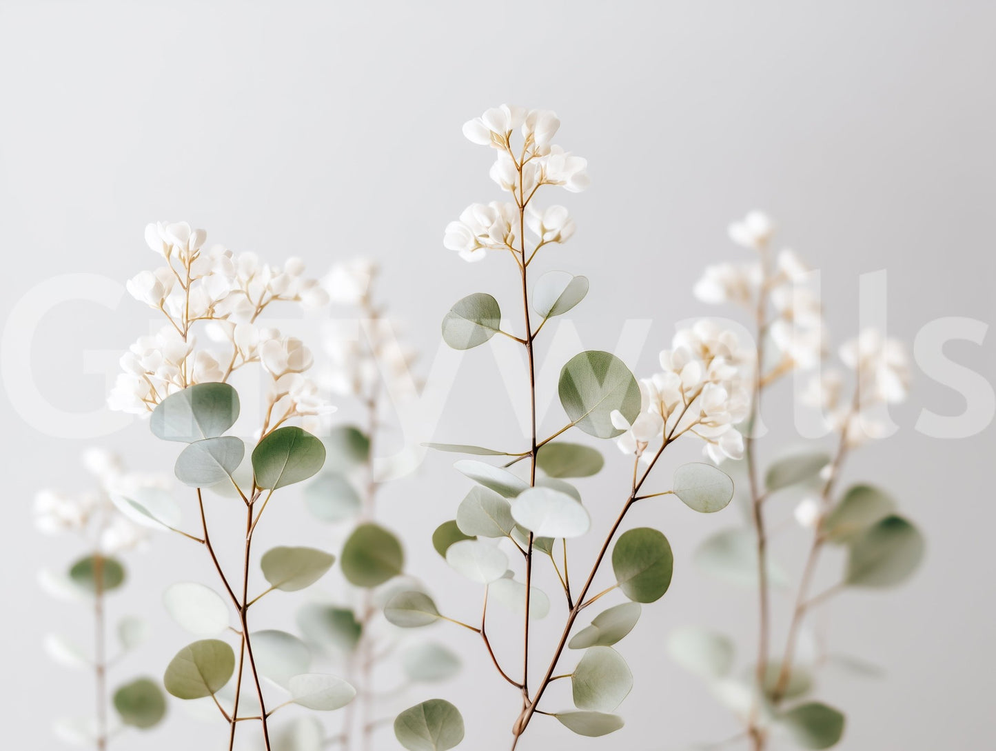 Light flower wallpaper for living room

