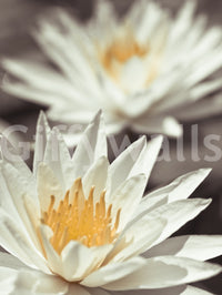 Quiet romantic aesthetic of Whispering White Lilies mural art.