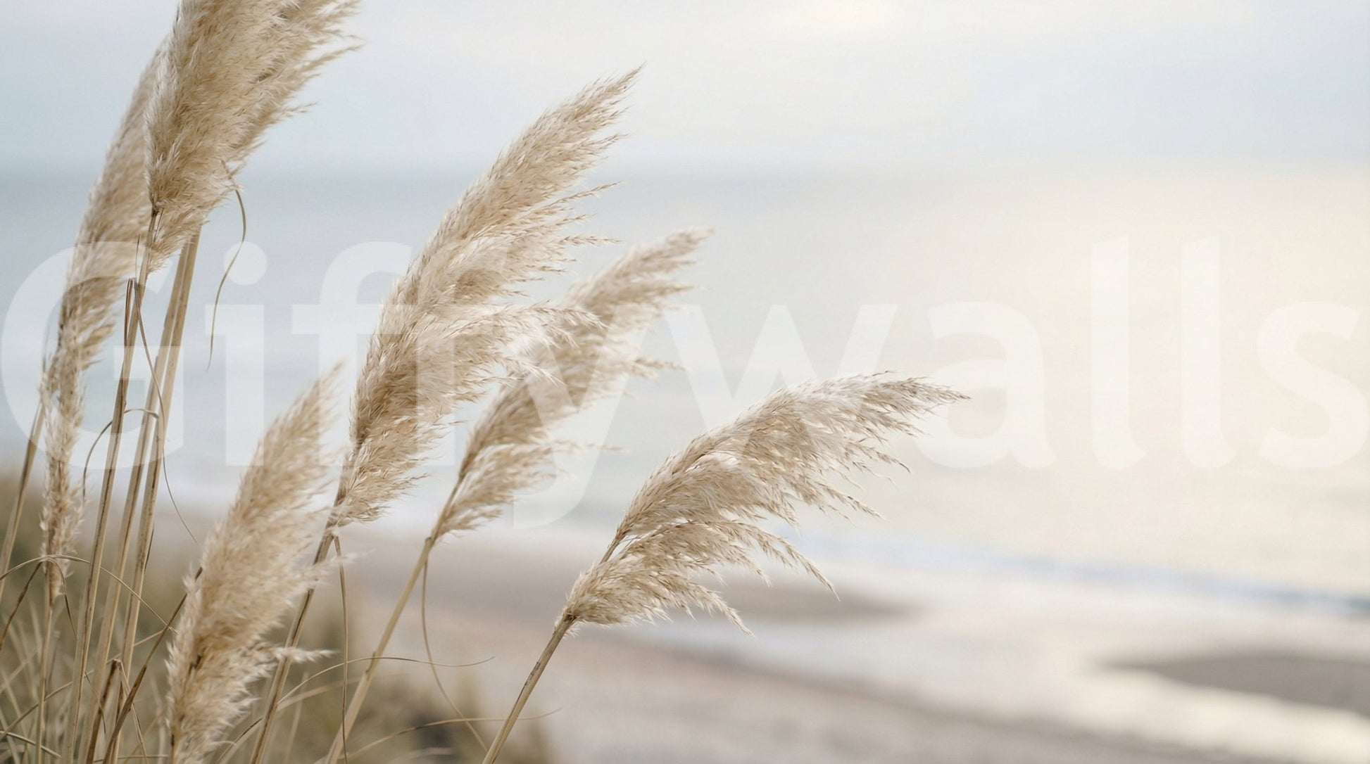 Coastal Pampas wall mural captures feathery grass against a soft shoreline