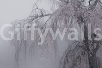 Pastel Whispers of Spring flowering Japanese tree artwork wallpaper.