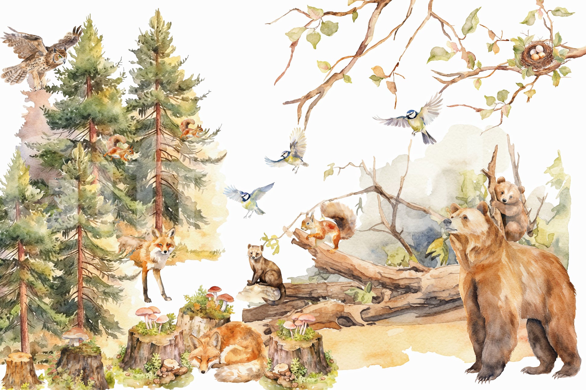 Tranquil wallpaper for walls with forest design

