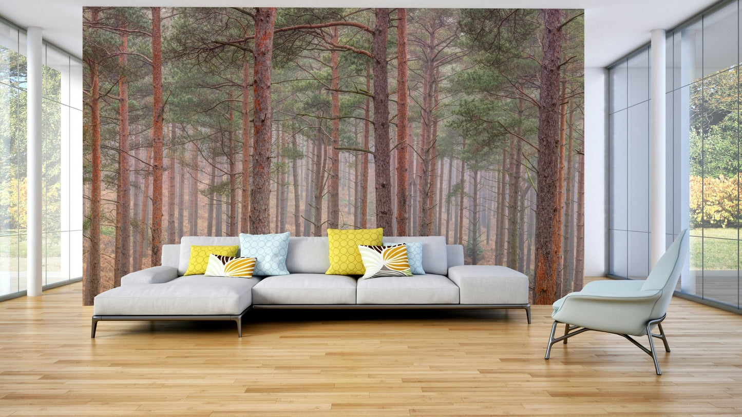 The scene has a peaceful and tranquil, almost ethereal feel.

