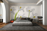 A beautiful pure tulip field wallpaper mural for a modern home.

