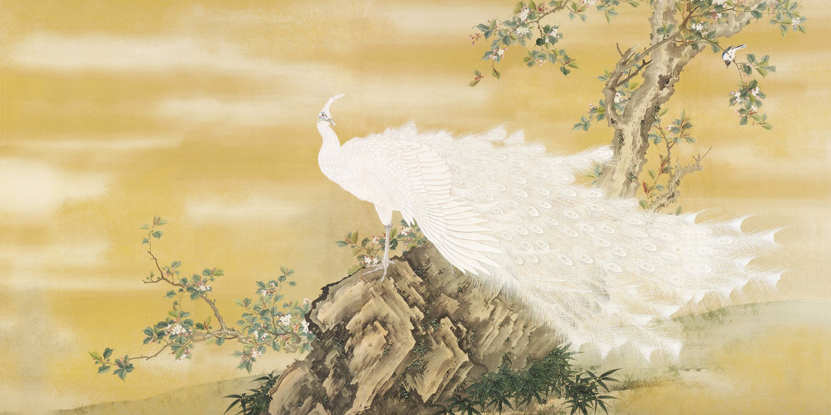 White Peafowl Sitting Rock Wallpaper Murals in your room