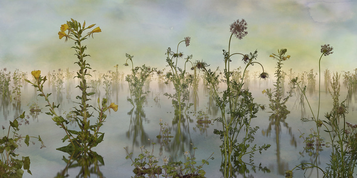 Wild Flowers Green Color Nature Wallpaper Murals in your room — zoomed