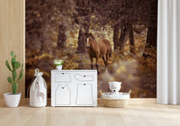A dramatic wallpaper featuring a wild horse framed by deep forest shadows and warm hues.