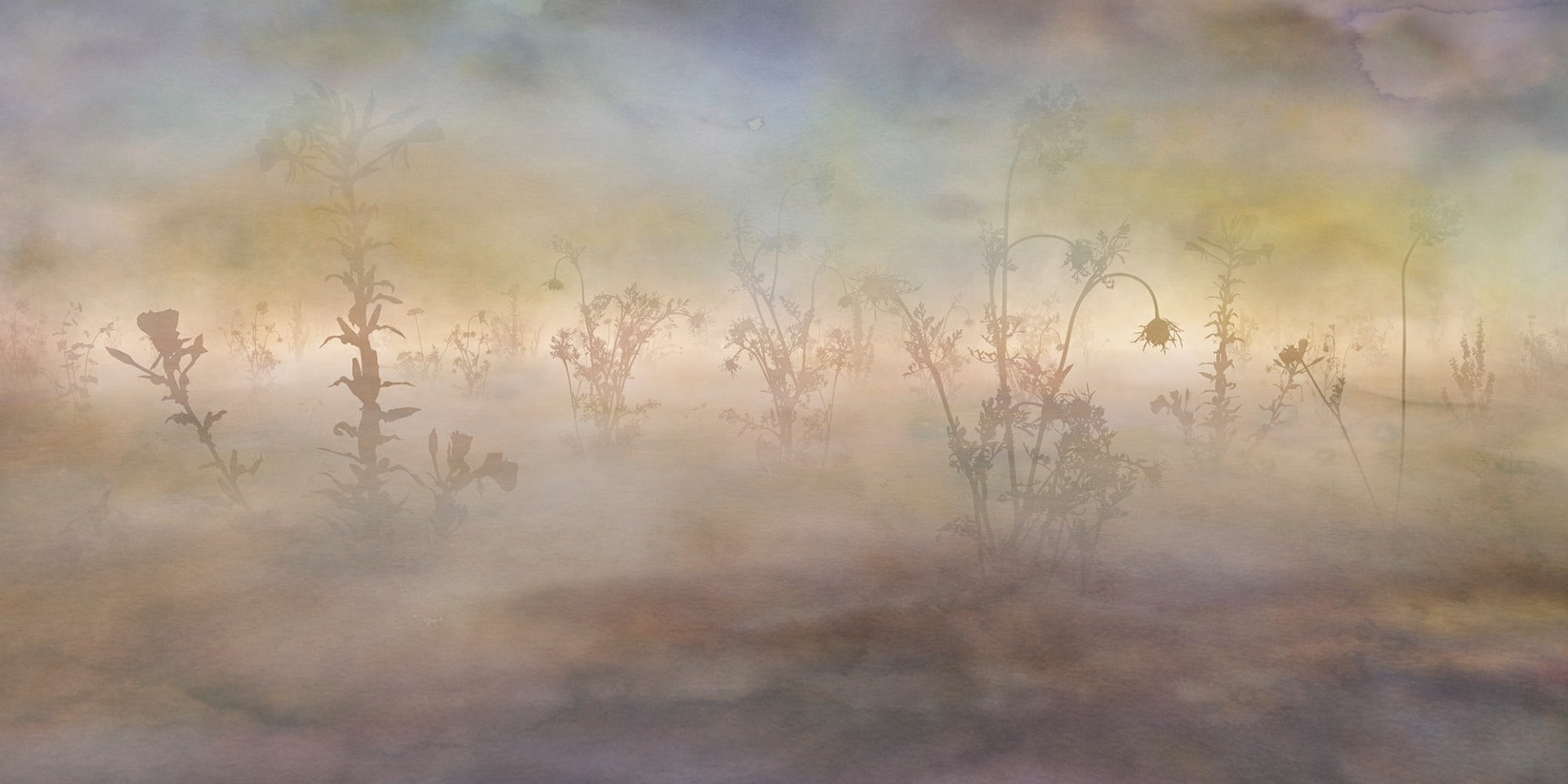 Wild Pastel Flowers Misty Nature wallpaper mural with soft-focus petals and green stems.