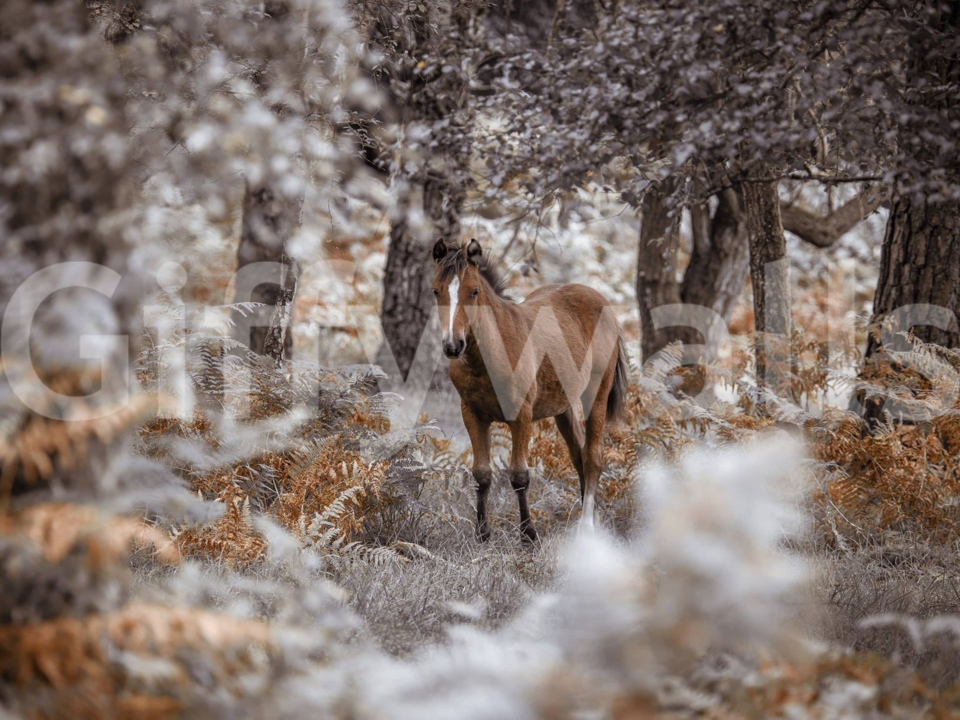 Elegant guest room featuring a realistic horse print in soft lighting.