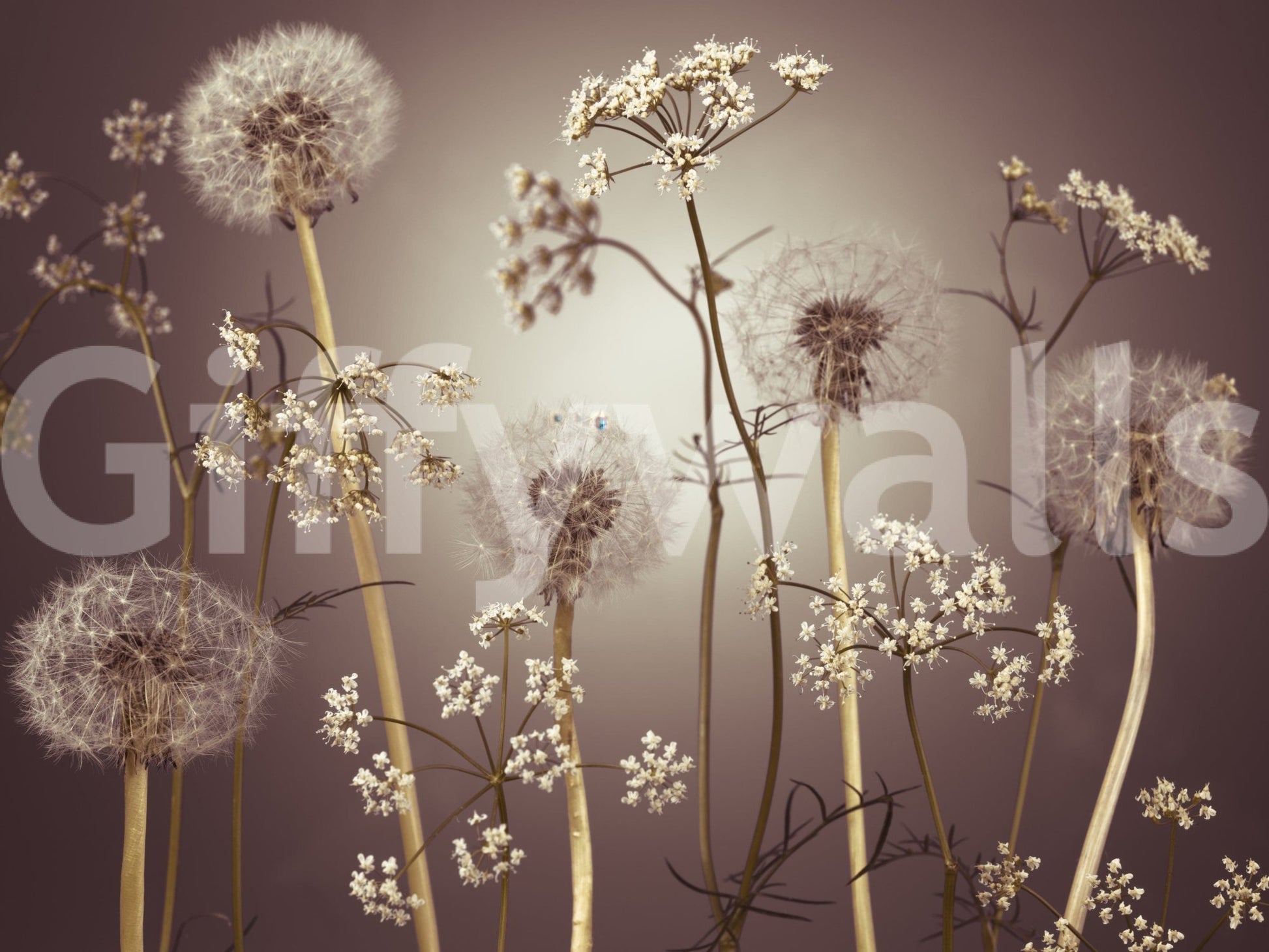 Studio wall decor with wildflower mural, delicate meadow flowers and clean background