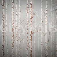 Winter Birch Beauty wallpaper mural close-up of white birch trunks with rust-brown bark markings on a soft grey background