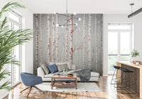 Winter Birch Beauty wallpaper mural with white birch trunks on grey behind a cream sofa and blue swivel chair in a living room