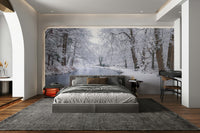 Wall mural of a snowy canal scene.

