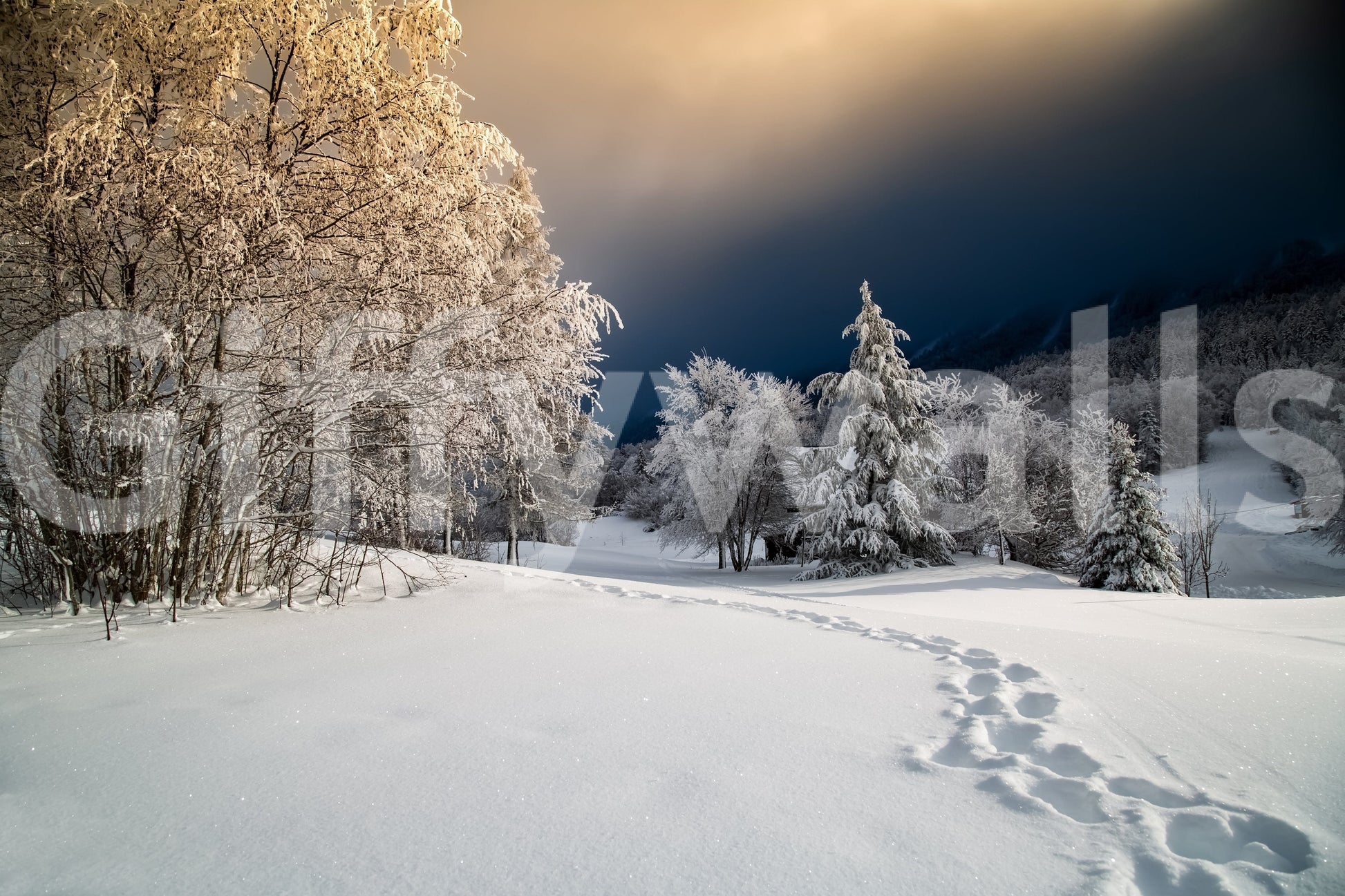 Tranquil Frozen Footsteps wall mural, picturesque snowy meadow, natural artwork.