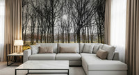 Nature wall mural showing sunlight filtering through dense rows of leafless trees in a forest.