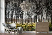 Wallpaper featuring a sunlit forest with tall bare trees casting long shadows over a mossy green ground.