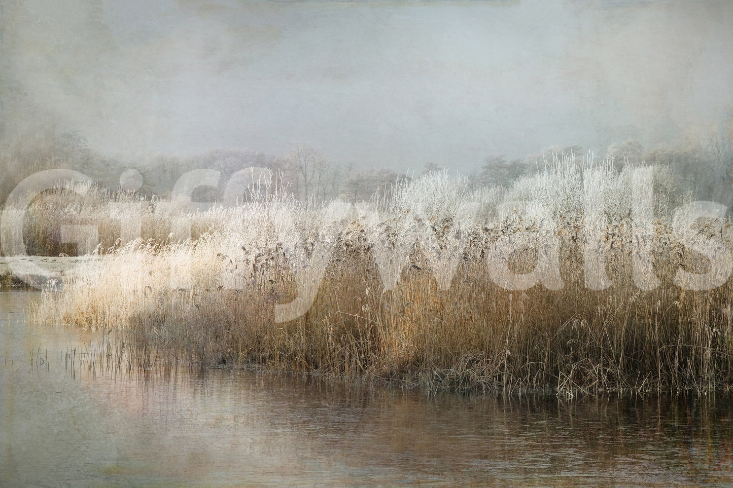 A high-quality minimalist wall mural for walls.