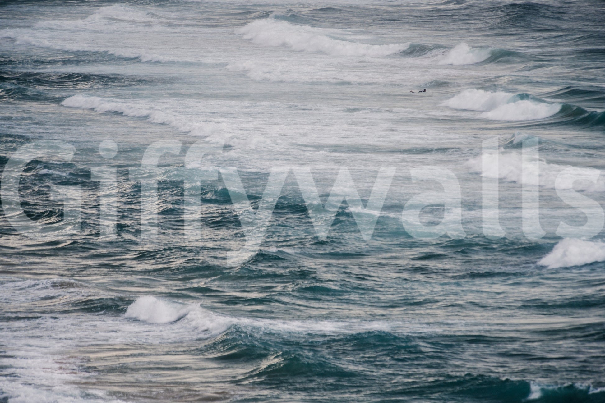 A detail of the dark tones in the water and shore.

