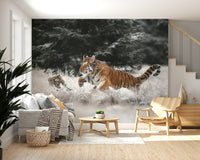 Winter Play: Tiger Cubs wallpaper mural of cubs racing through snow, set in a living room with a grey sofa and wood armchair
