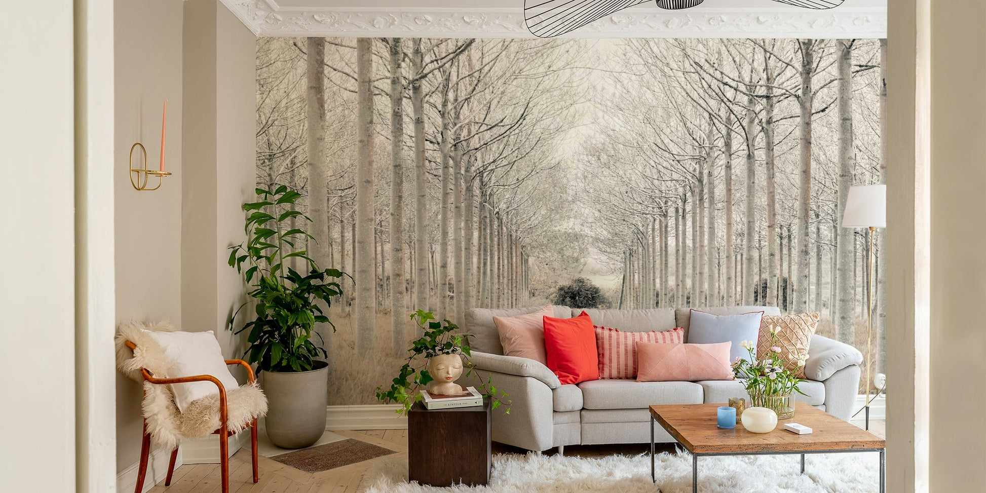 The trees form a natural alleyway or arch.

