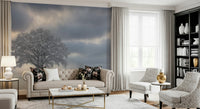 Tranquil winter scene, forest wallpaper, calming natural beauty print.