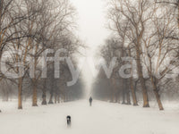 A high-quality minimalist wall mural for walls.

