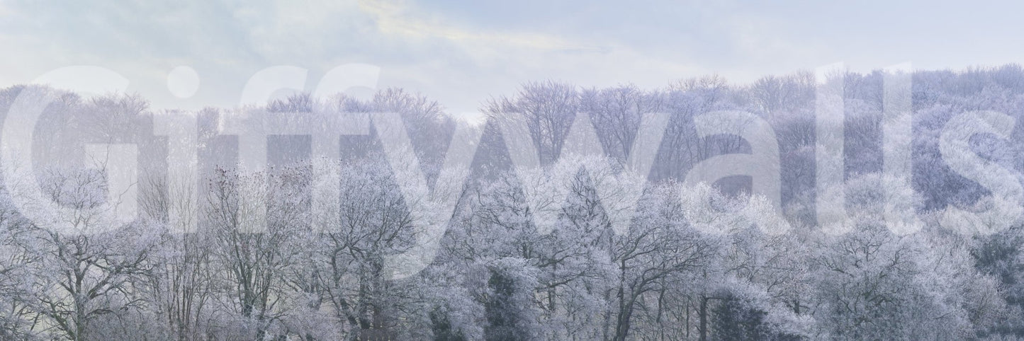 Winter's Whispers wallpaper mural shown as a full-wall view of a frost-covered woodland under a soft pastel sky