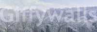 Winter's Whispers wallpaper mural shown as a full-wall view of a frost-covered woodland under a soft pastel sky