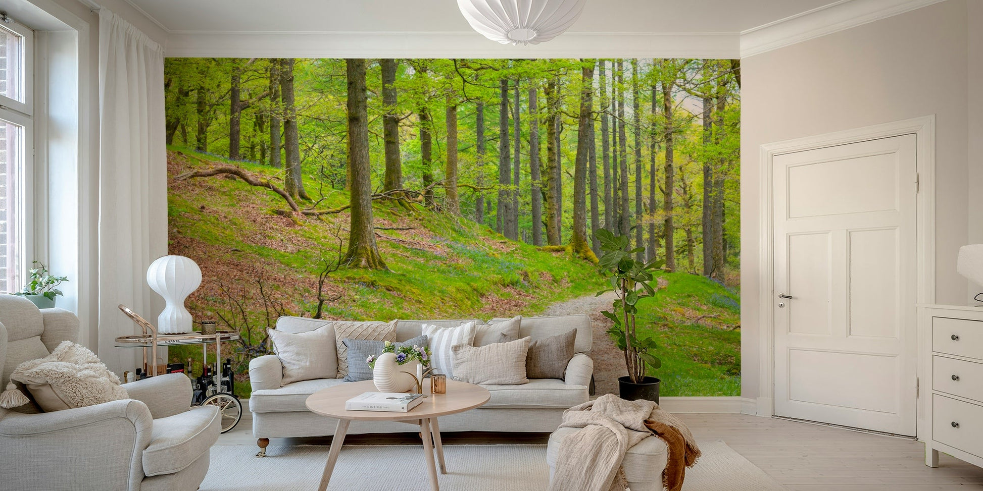 Tranquil scene of trees and cycle path inviting relaxation

