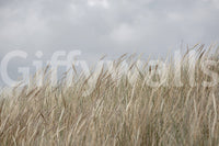 Golden brown pasture flora depicted in Woodland Dune Grass wallpaper art.