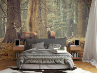 three majestic stags in a forest

