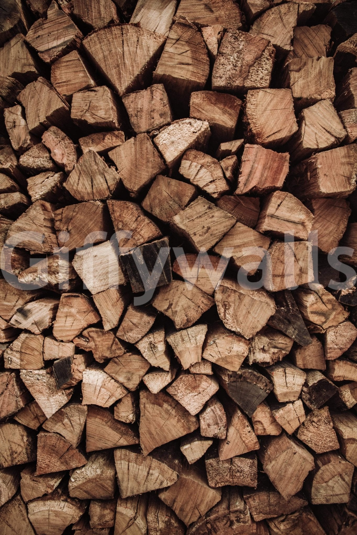 Woodpile Texture wallpaper mural close-up showing tightly stacked split firewood logs in warm brown tones