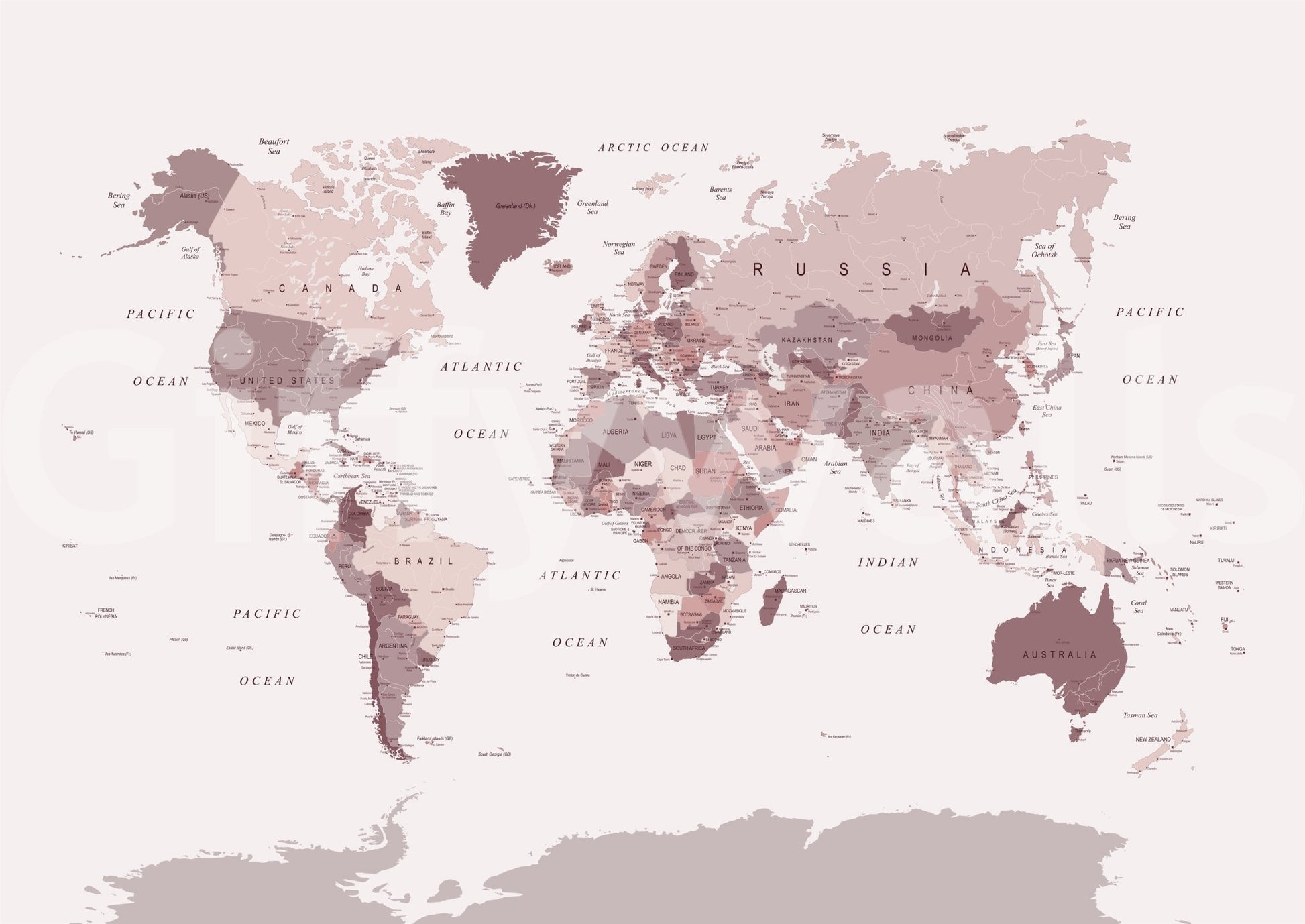 World geography wall mural in blush tones

