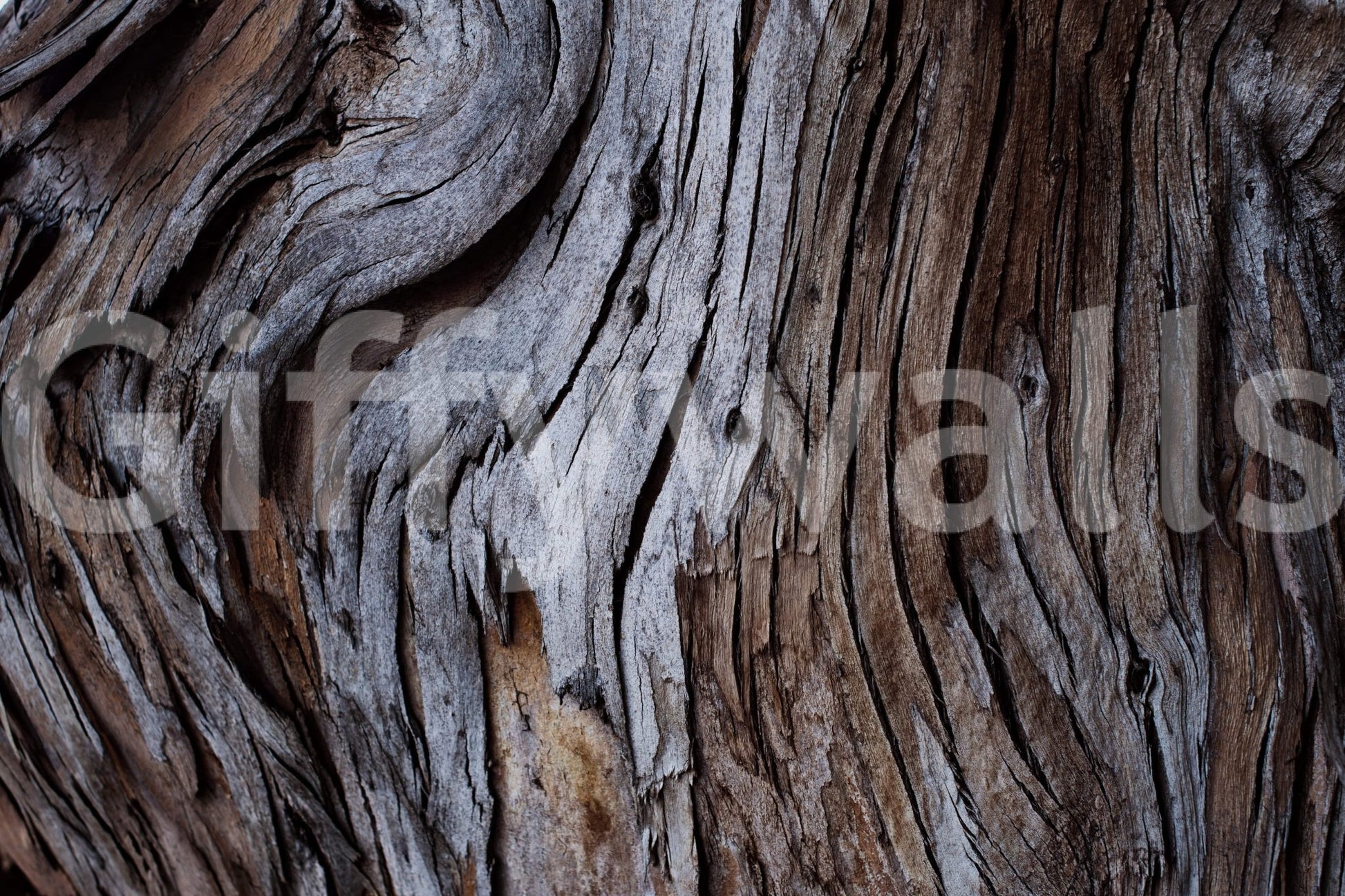 Worn Timber wallpaper mural close-up showing the pattern detail of cracked weathered wood grain in grey and brown tones